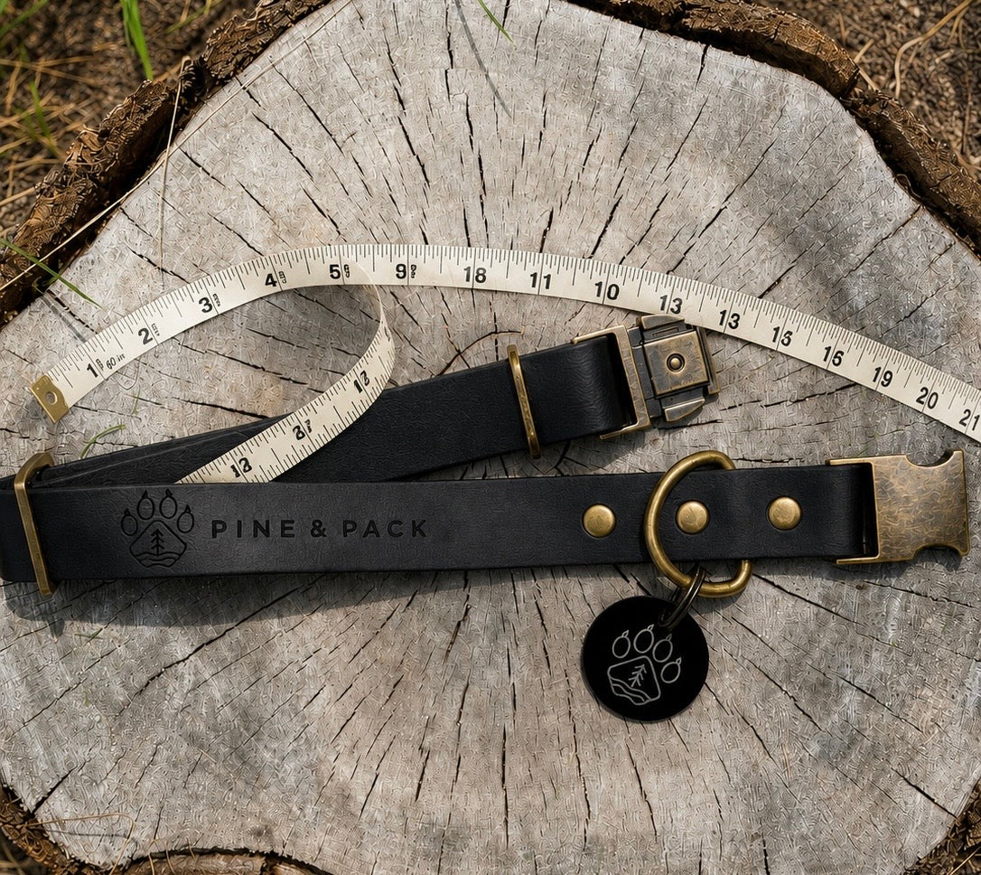 How to Measure Your Dog for the Perfect Collar