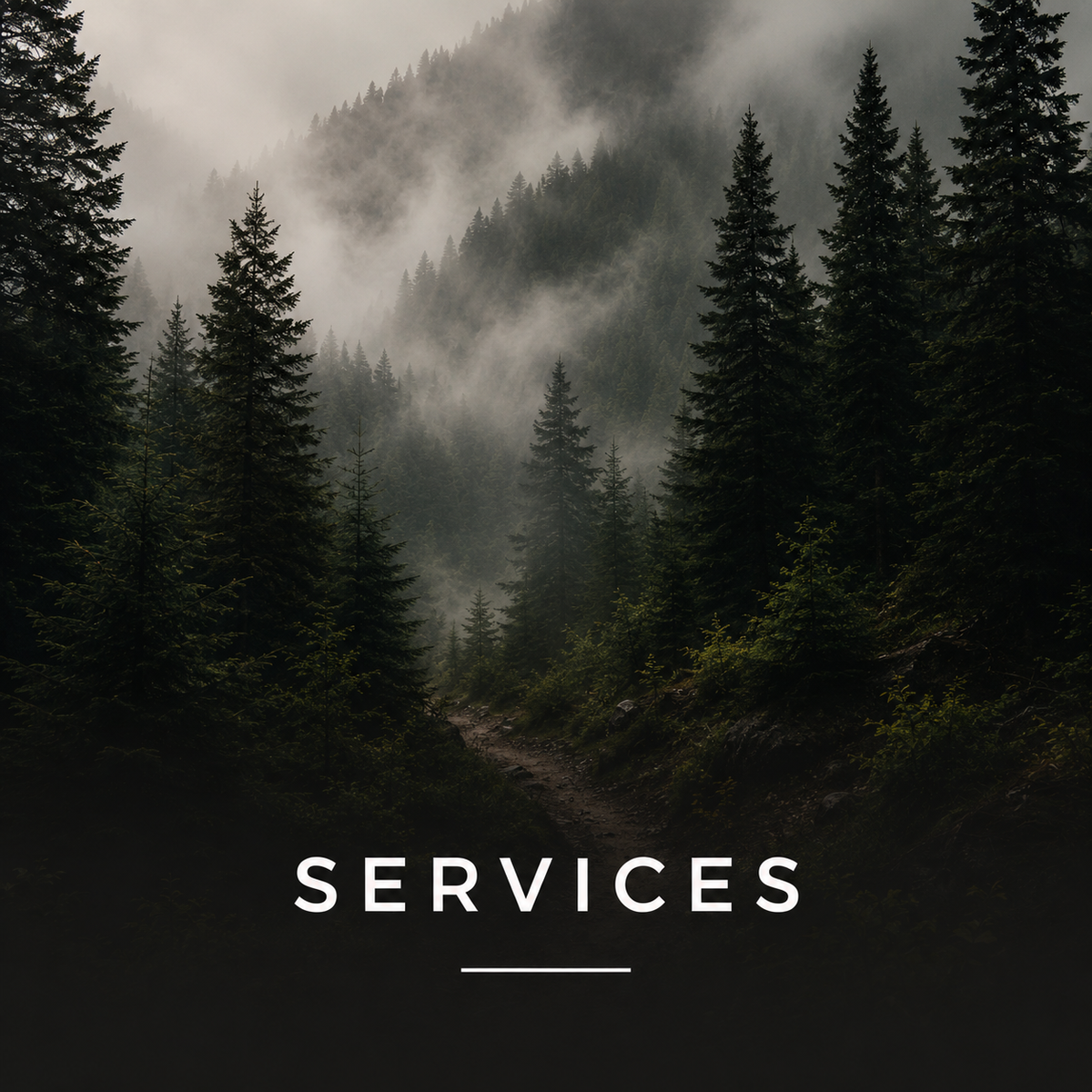 Services