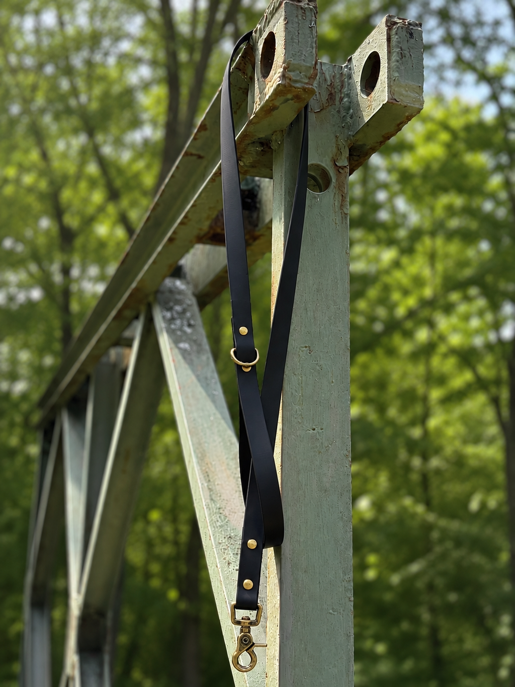 Classic Leash