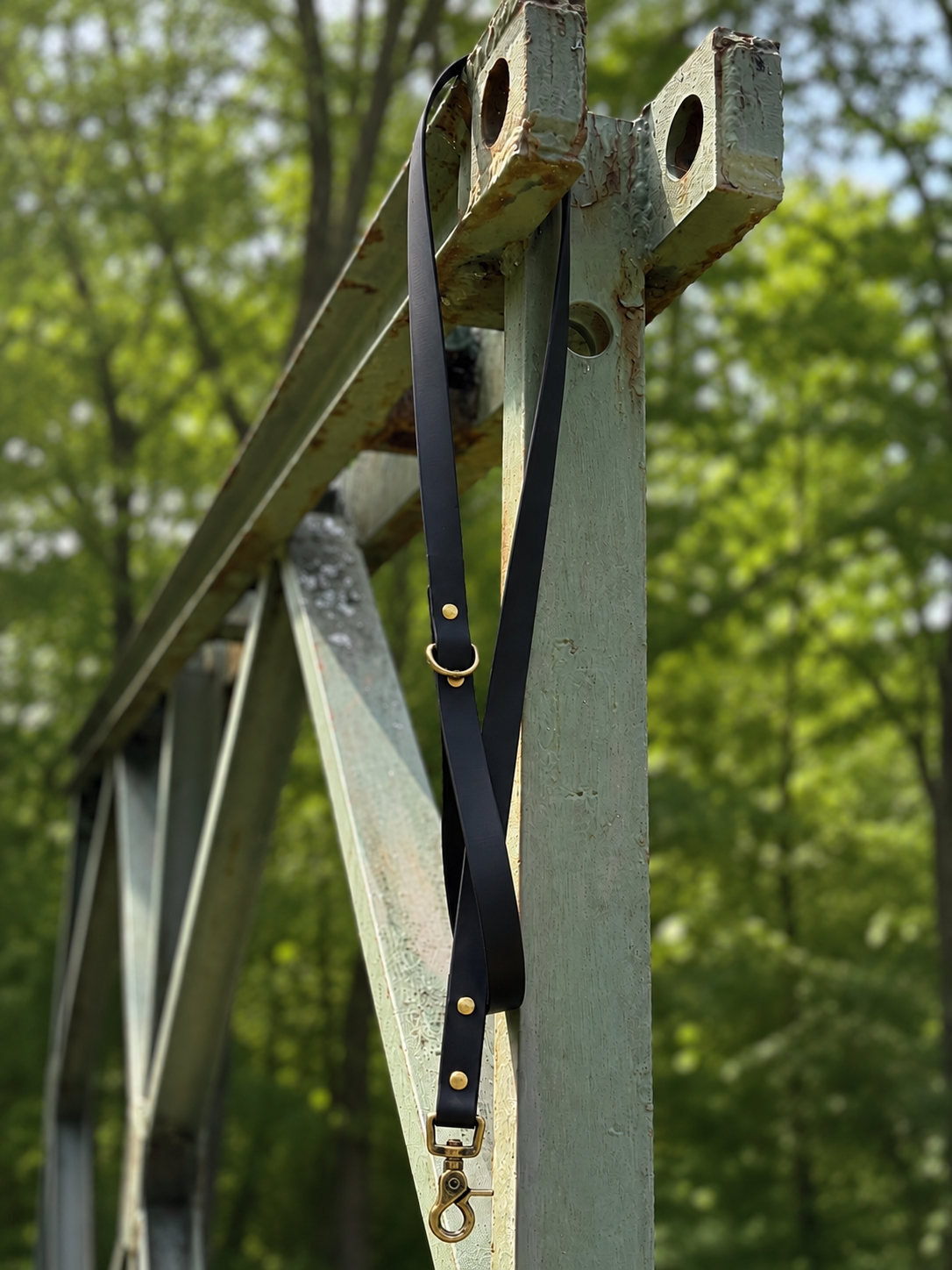 Classic Leash