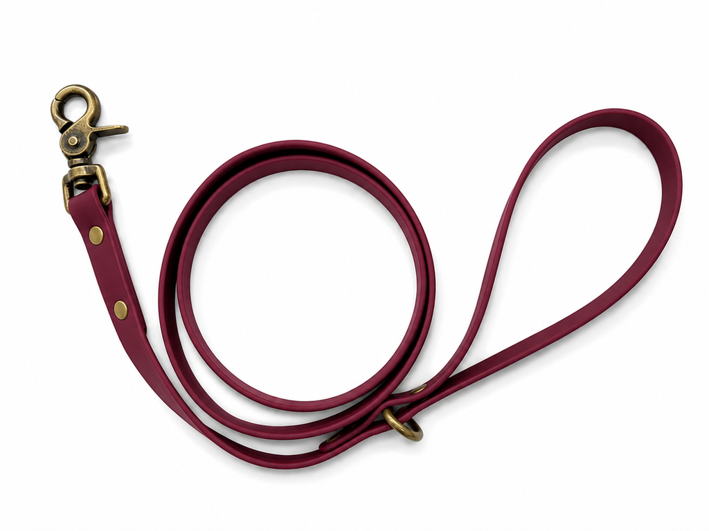Classic Leash