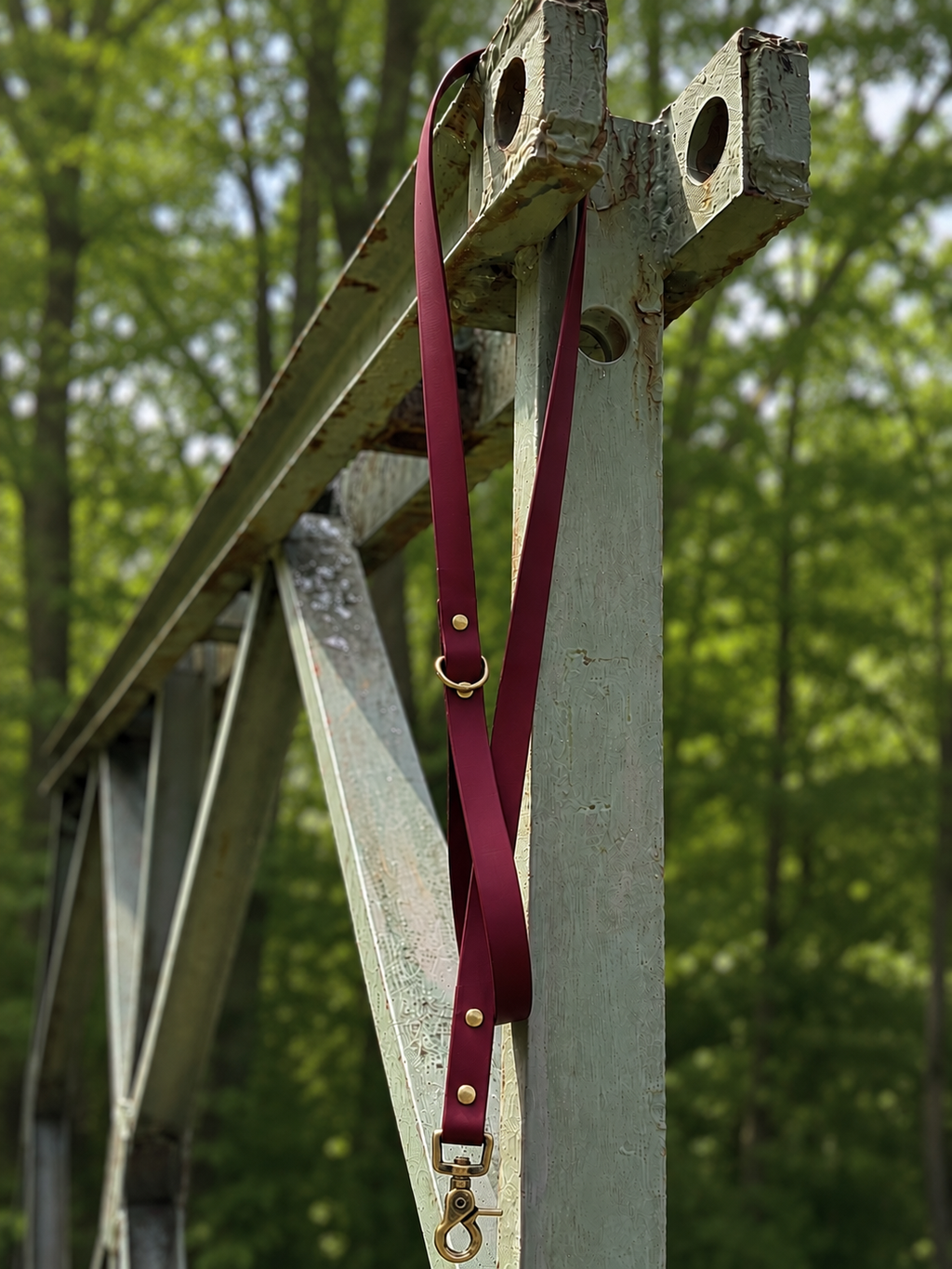 Classic Leash