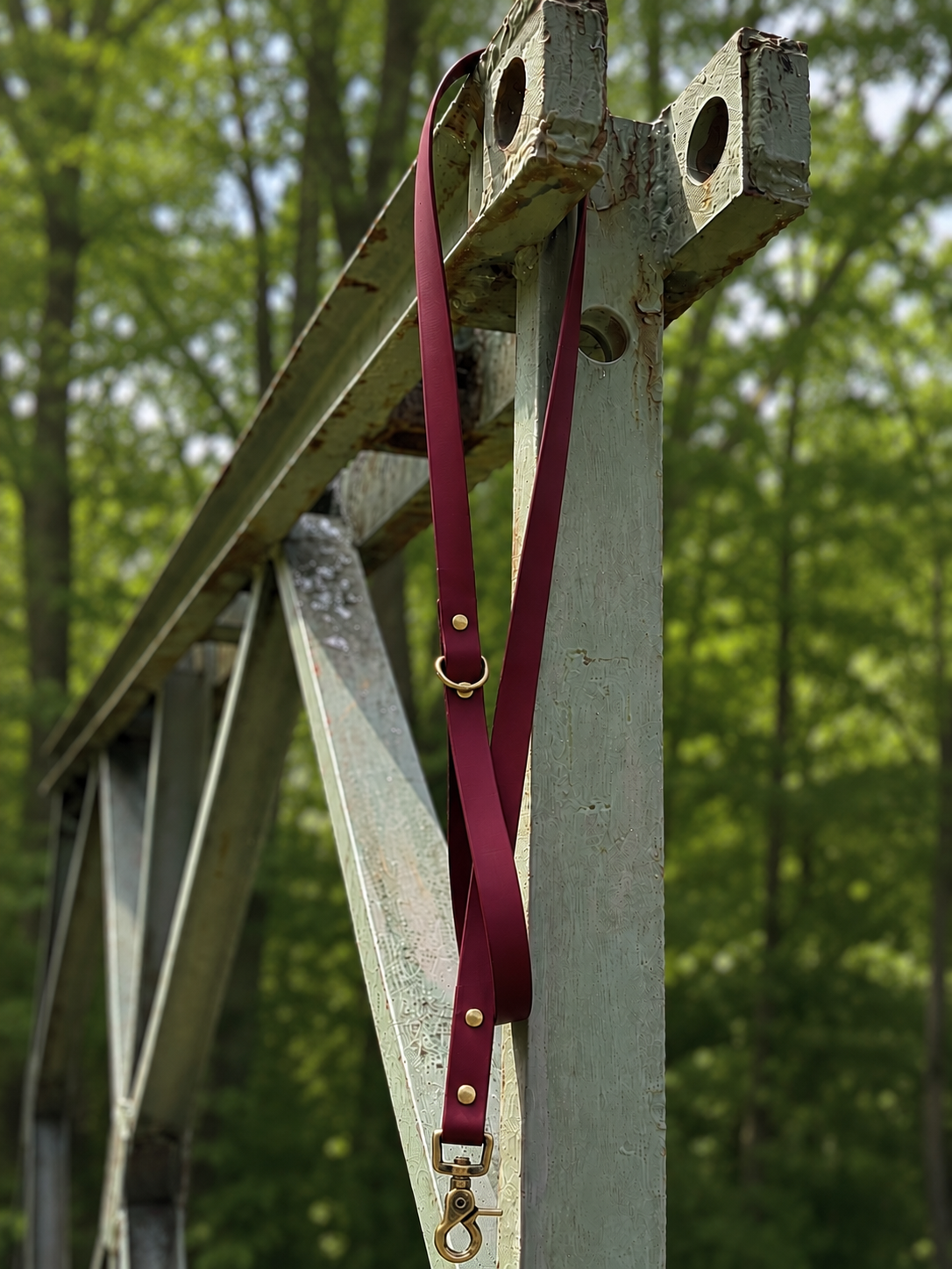 Classic Leash