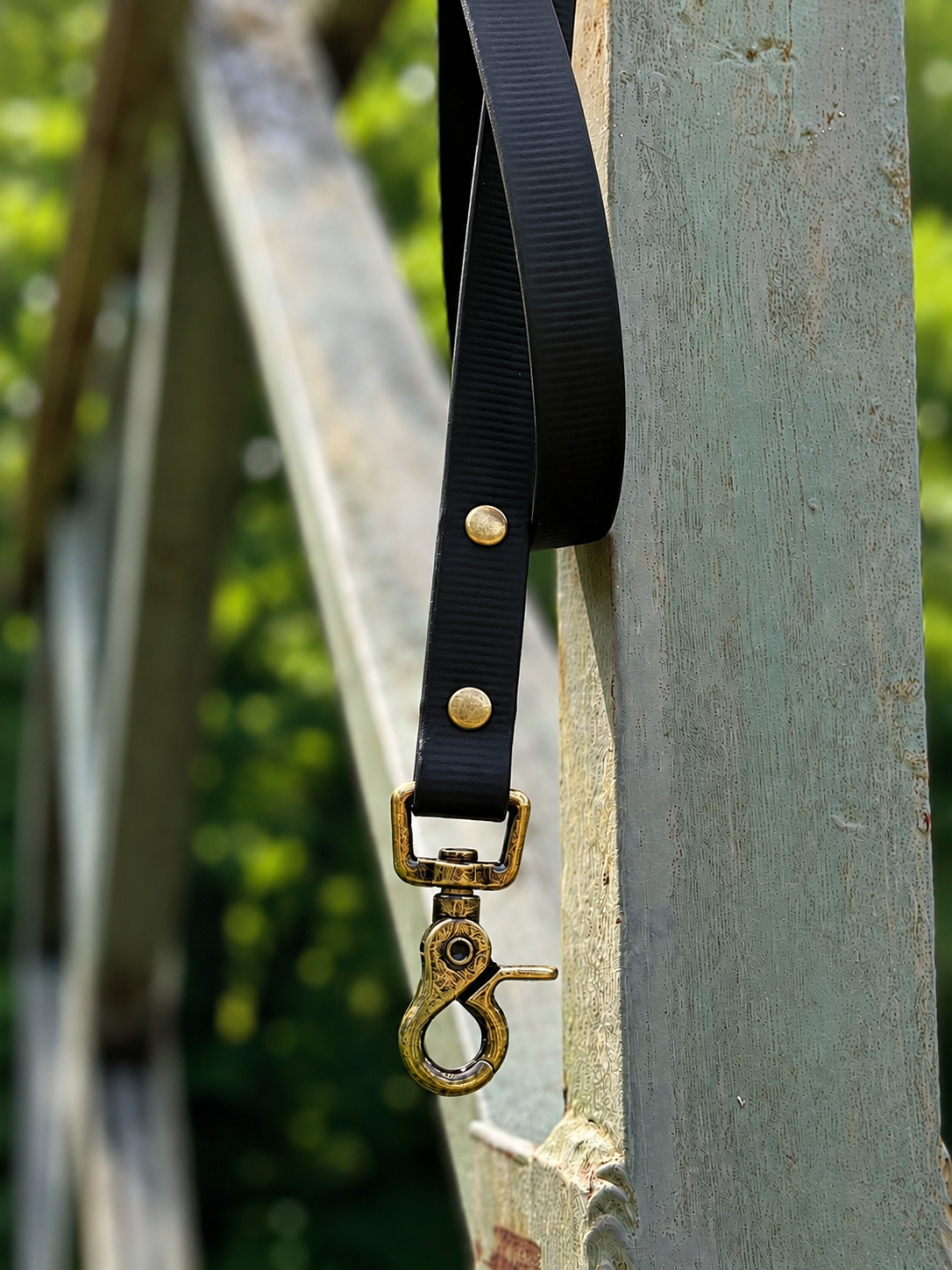 Classic Leash